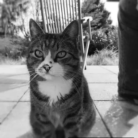 Apartamento Salem-beuren